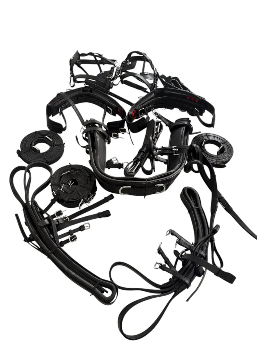 Marathon (pair) harness