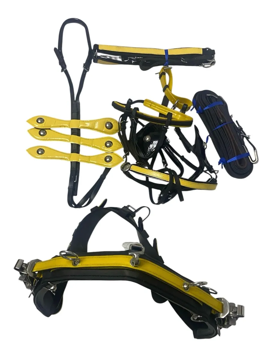 Horse harness - Image 1