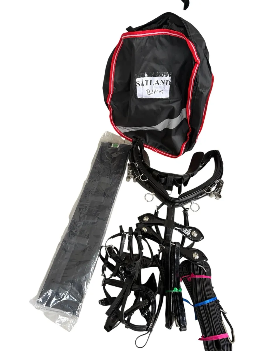 Horse harness - Image 2