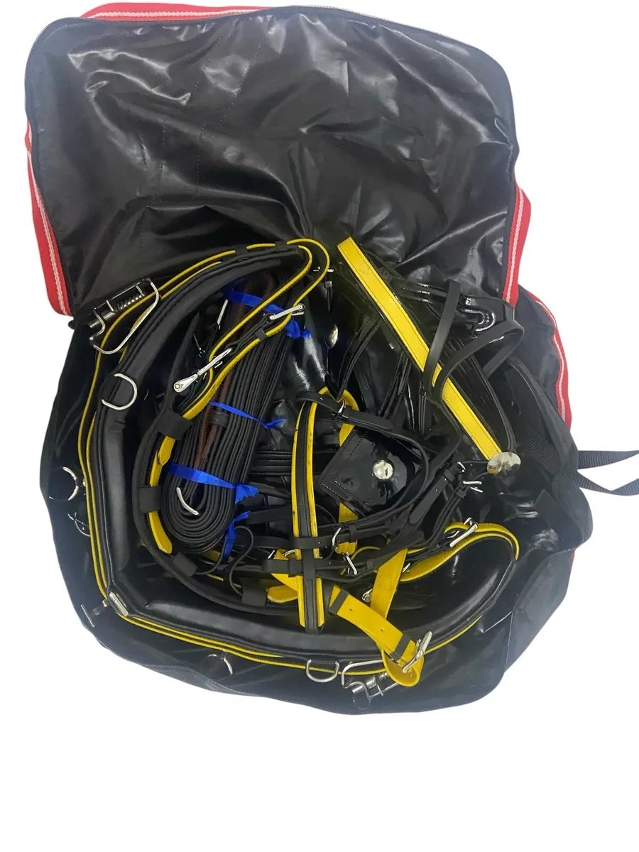 Horse harness - Image 4