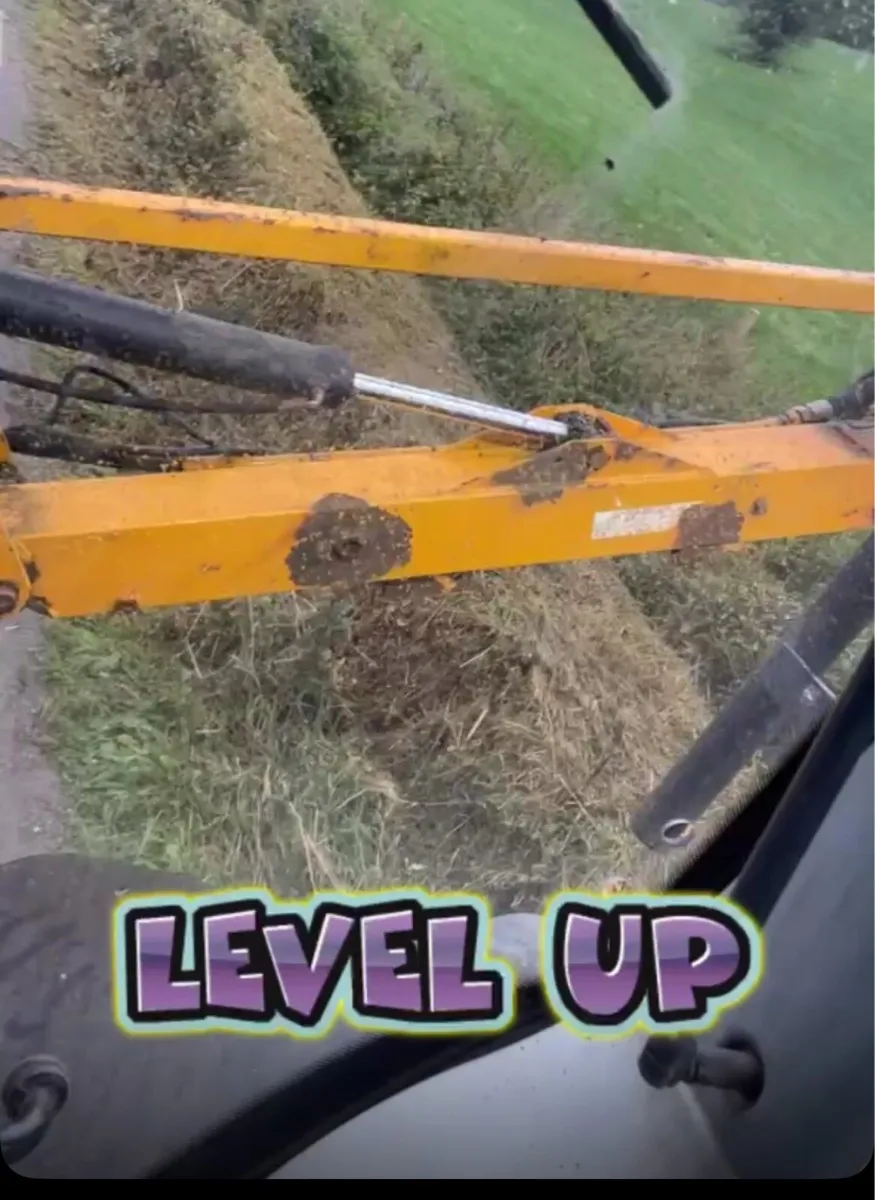Hedgecutting for hire - Image 4