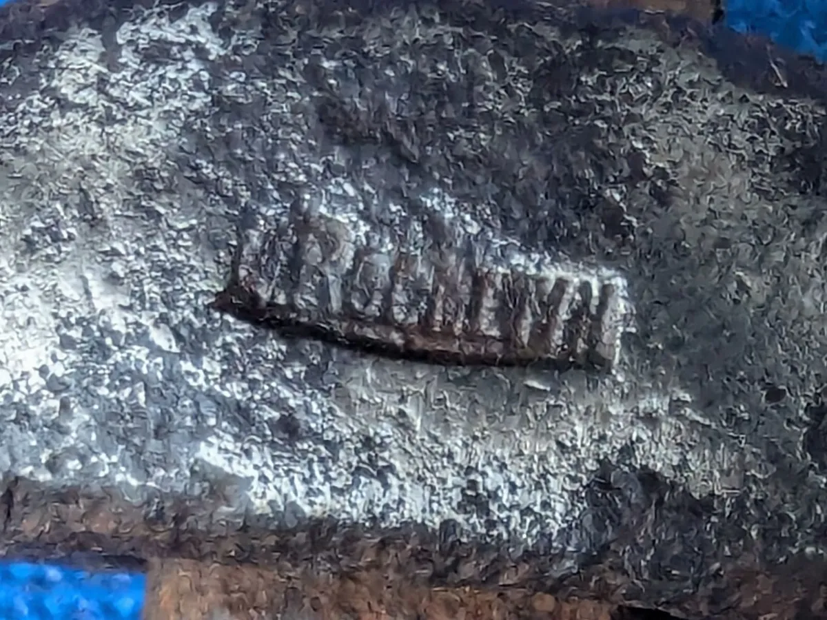 Planishing Hammer - Image 2