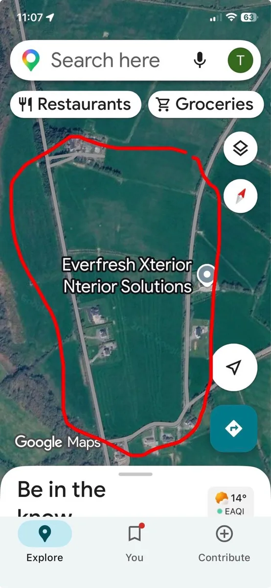 Growing silage for sale