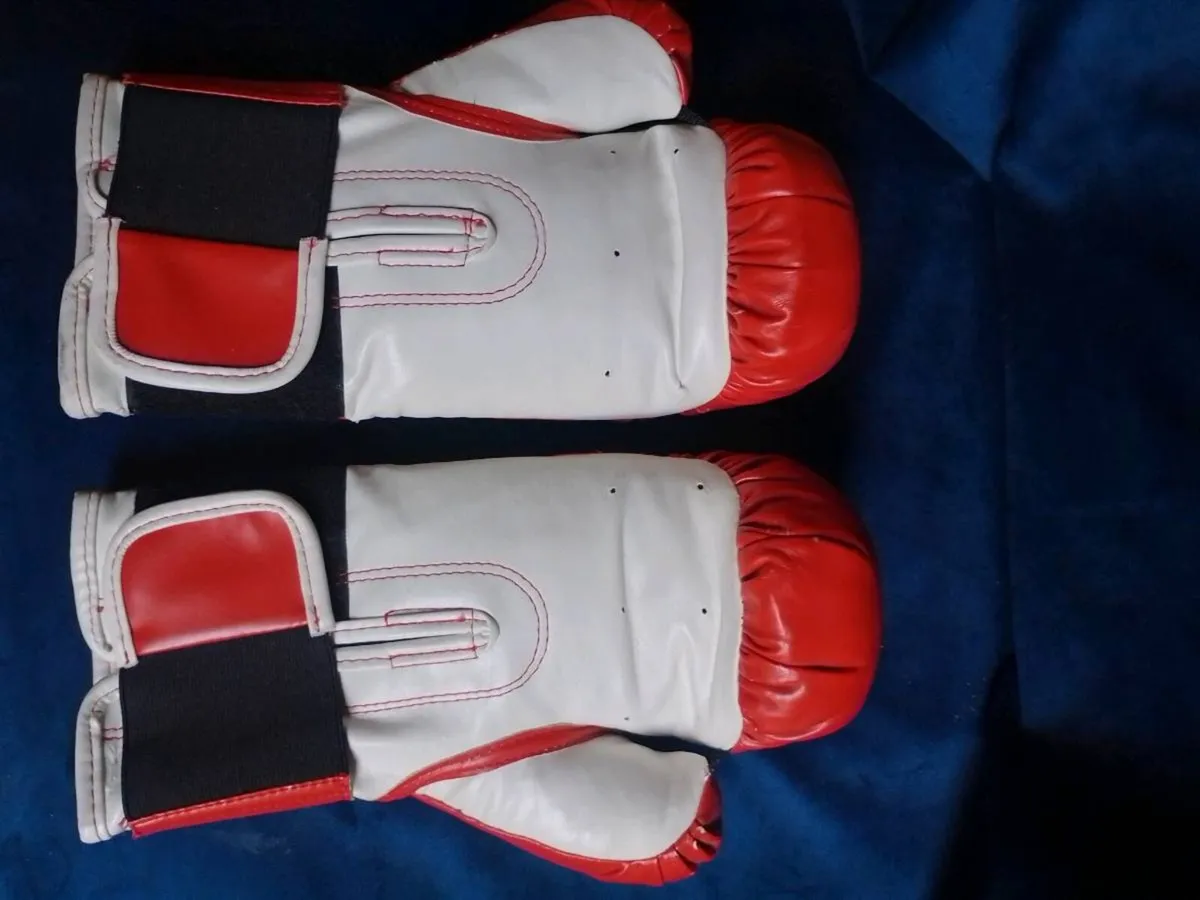 Autographed Kevin McBride Signed Everlast Boxing G - Image 2