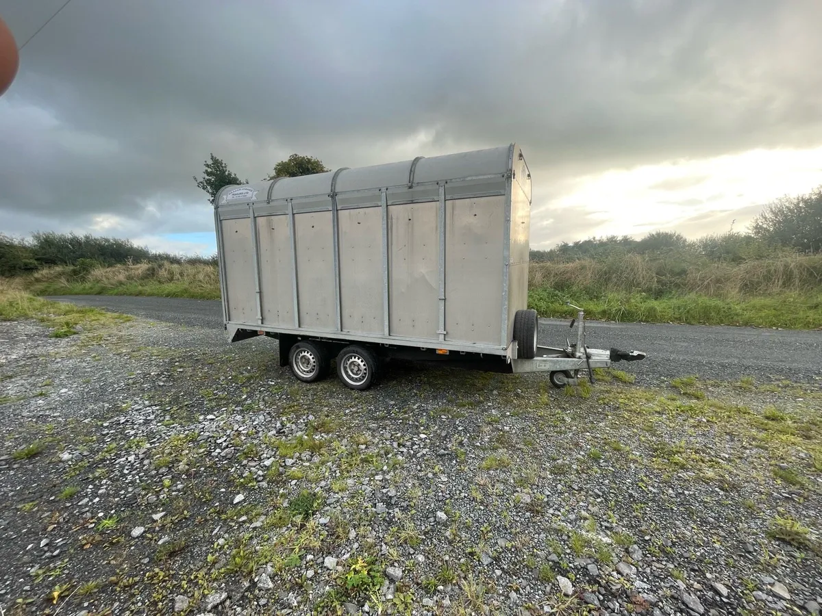 GRAHAM EDWARDS 12X6 CATTLE TRAILER - Image 2
