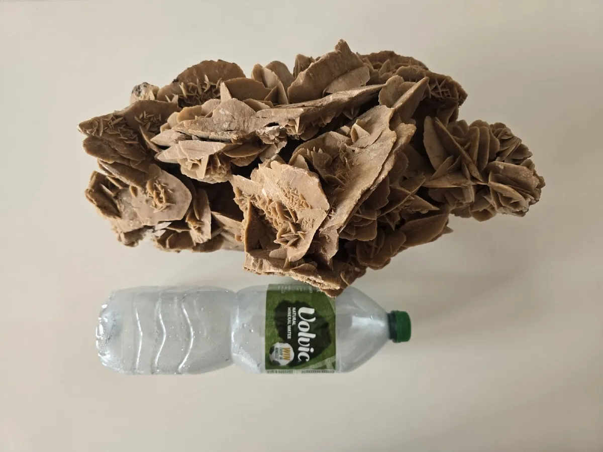 Large Desert Rose Mineral 9.1kg – 46cm - Image 3