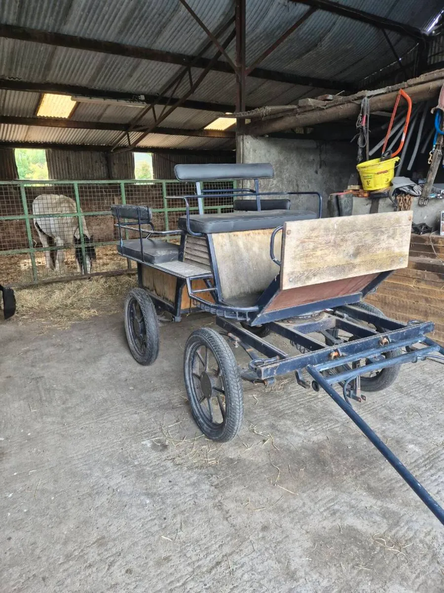 Carriage - Image 1