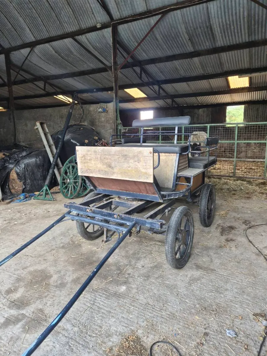 Carriage - Image 2