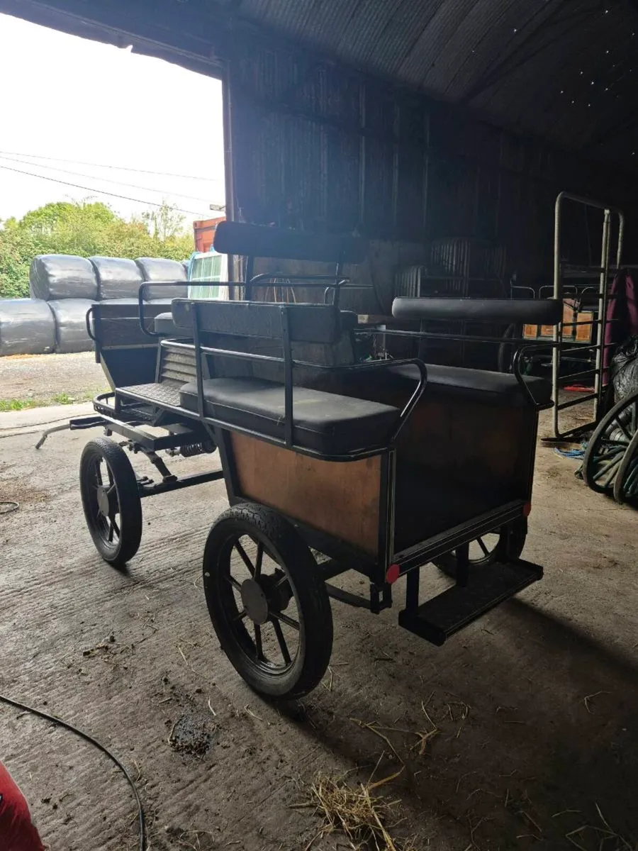 Carriage - Image 3