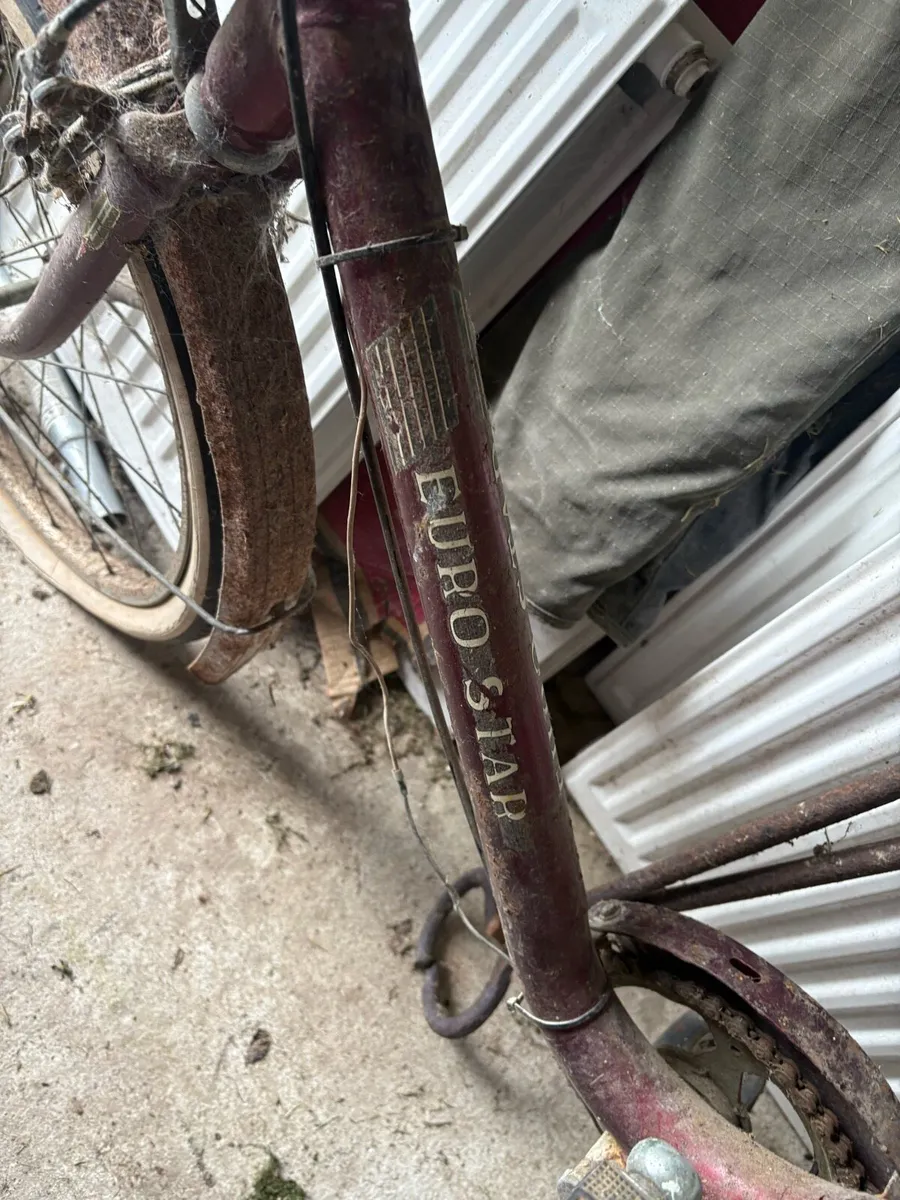 Vintage air pump and bicycle - Image 3