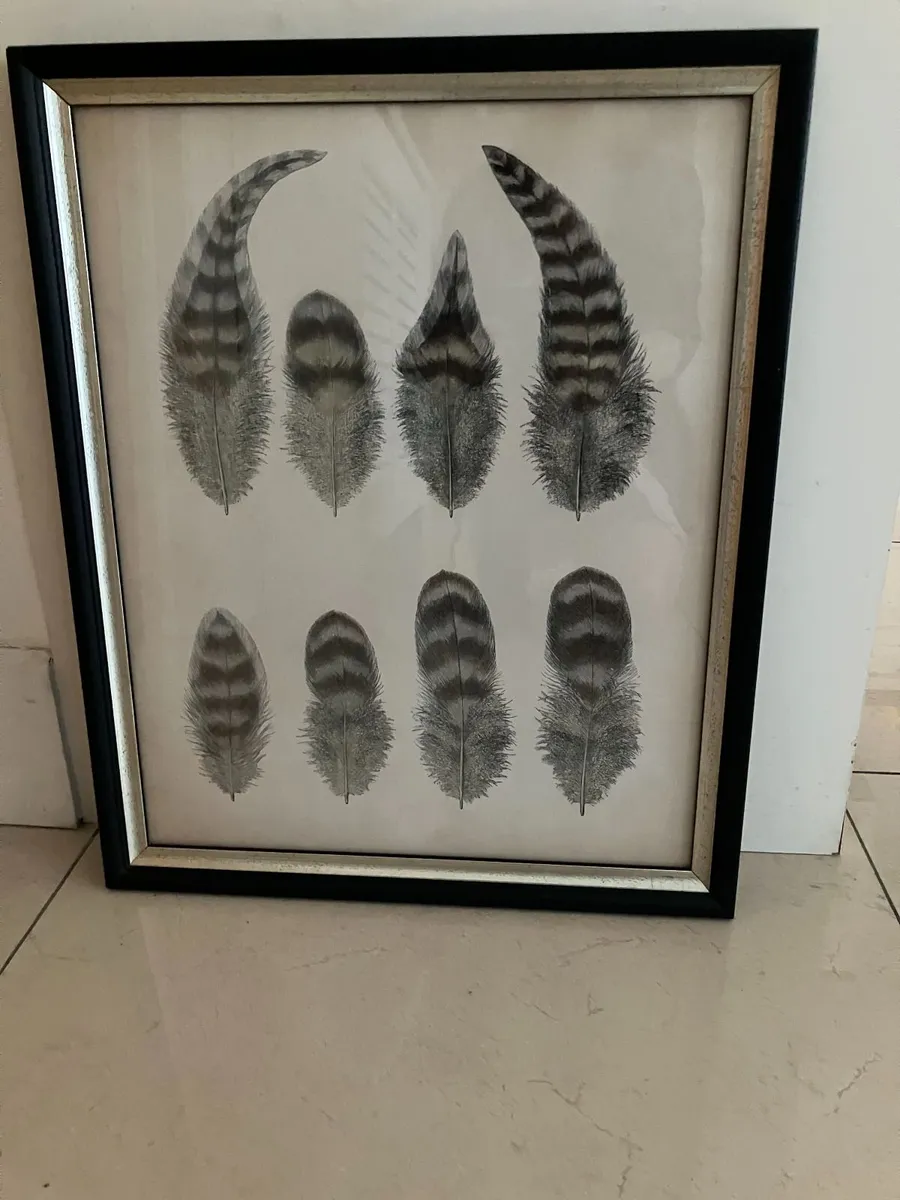 Helen Turkington Black Framed Picture - Image 1