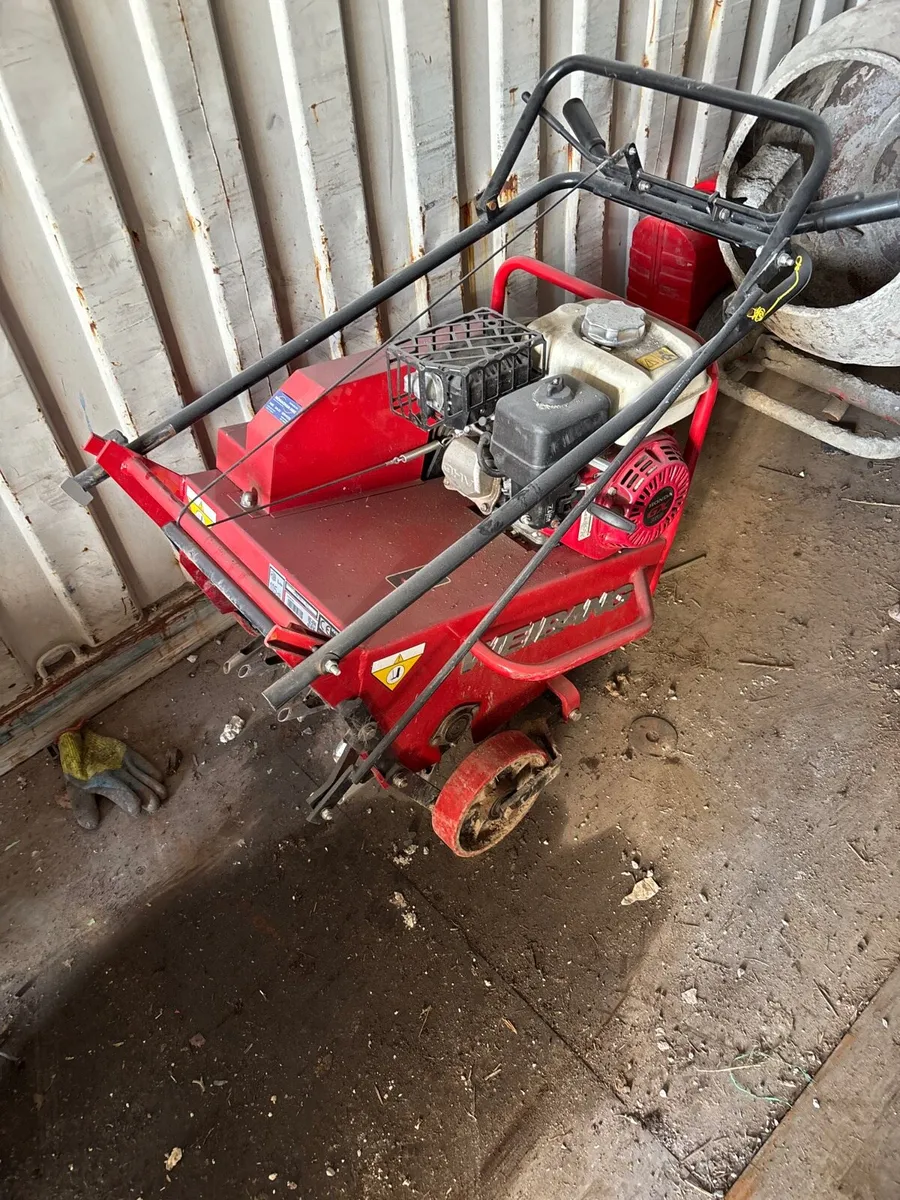 Lawn aerator - Image 2