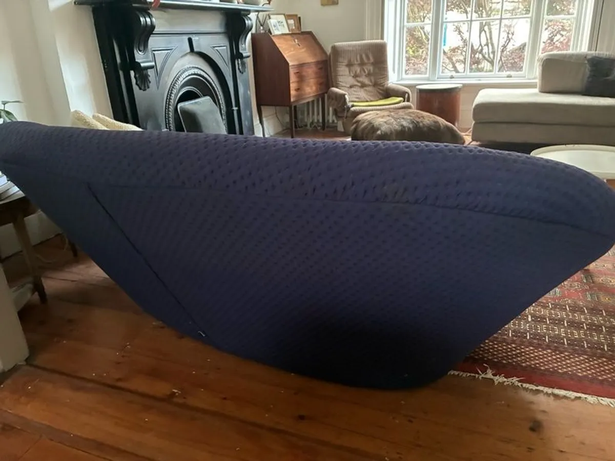 Linge Roset ploum sofa - Image 3
