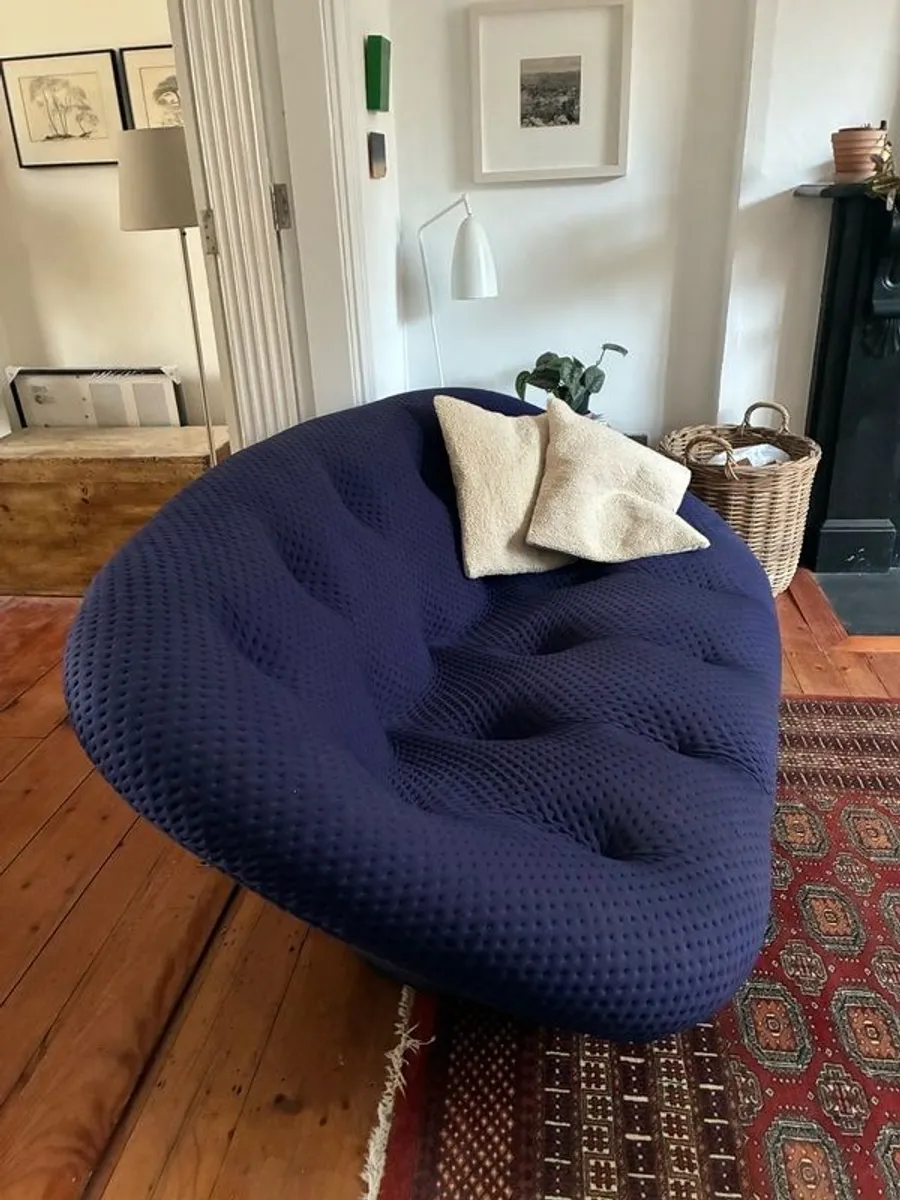 Linge Roset ploum sofa - Image 4