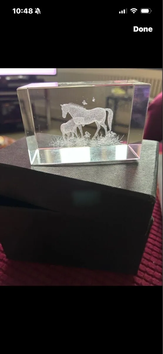 Etched Glass Horse Display/ Paperweight - Image 1