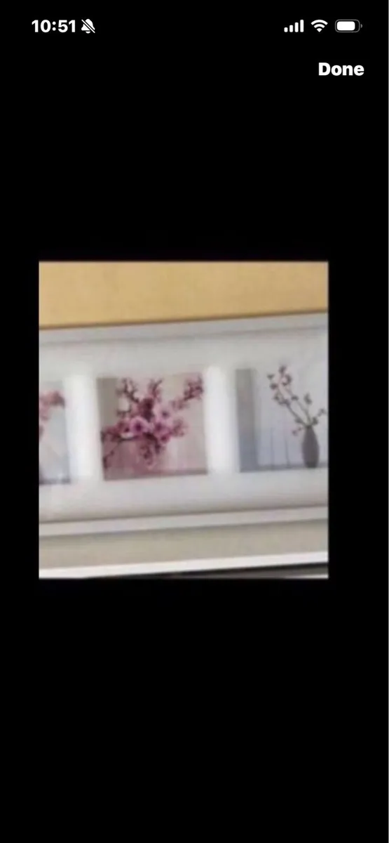 Framed set of Three Floral  Prints - Image 2