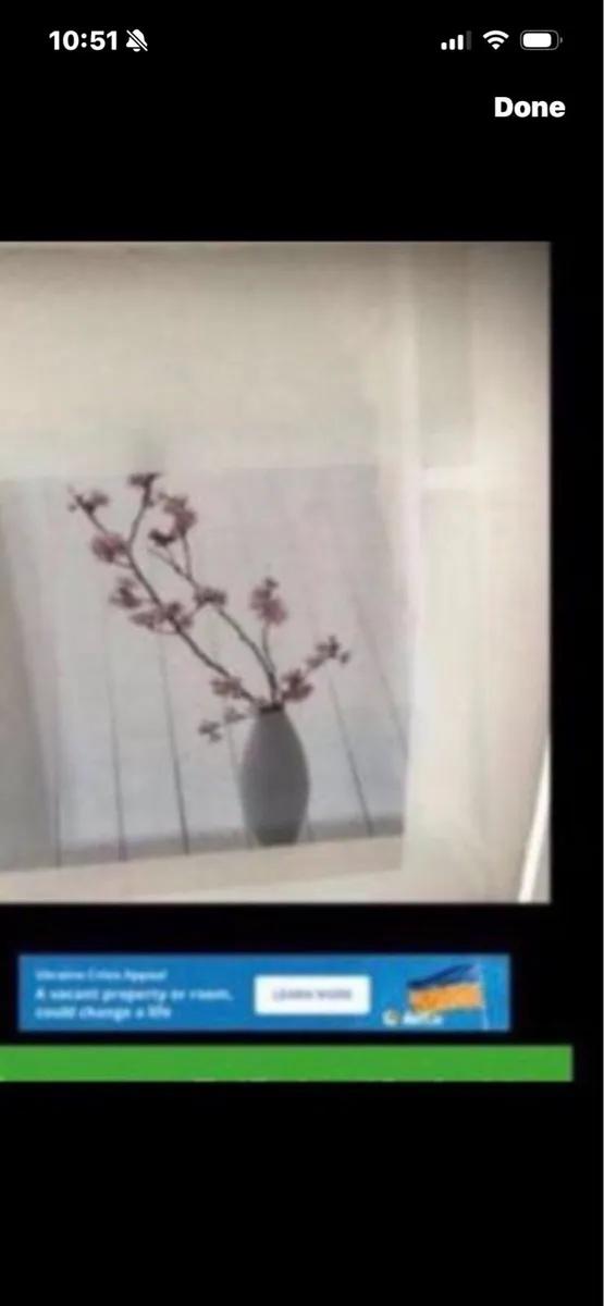 Framed set of Three Floral  Prints - Image 4