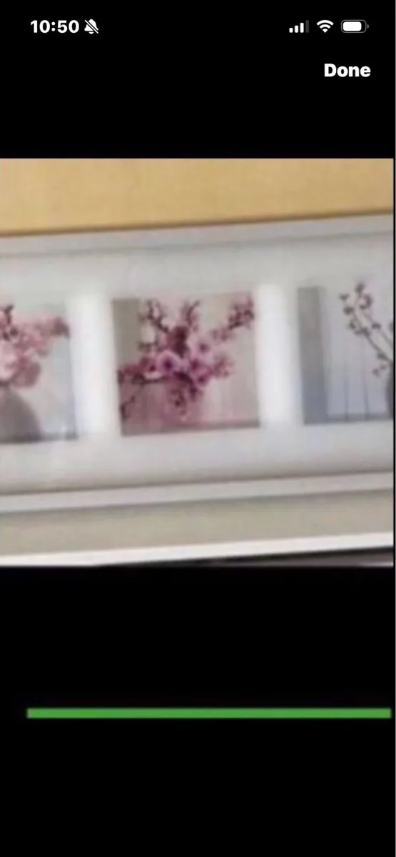 Framed set of Three Floral  Prints - Image 1