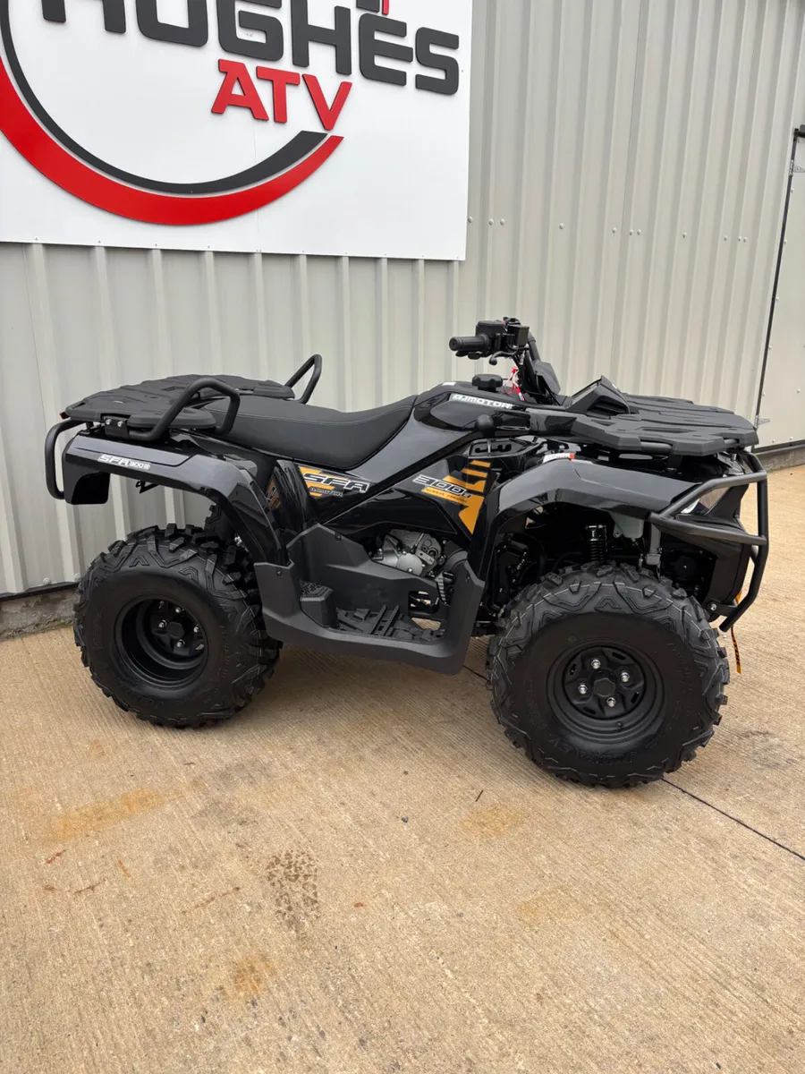 QJMOTOR SFA300 - Image 2