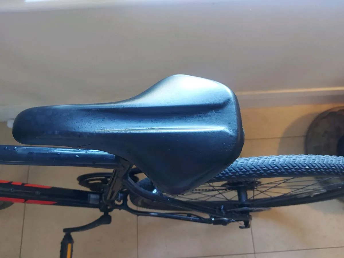 Giant Bike - Image 4