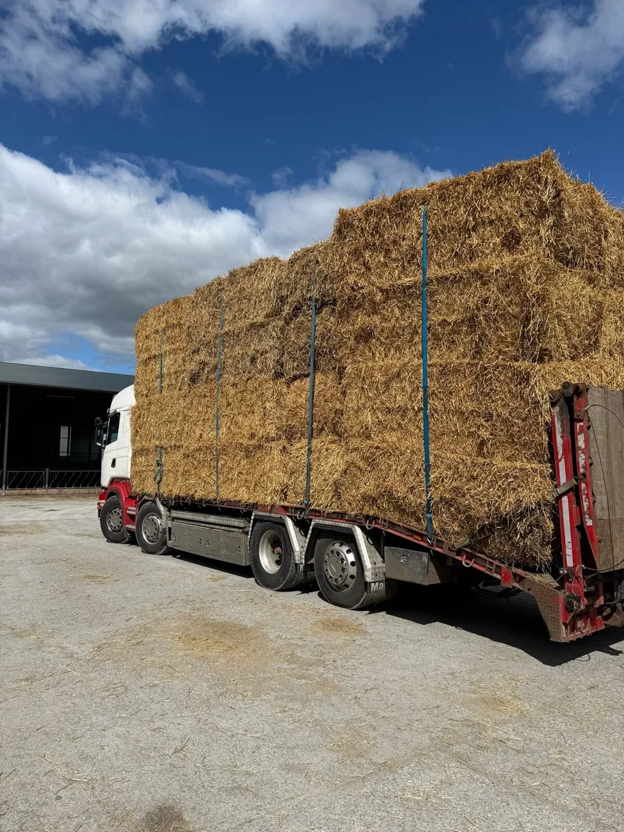 Barley straw delivered - Image 4