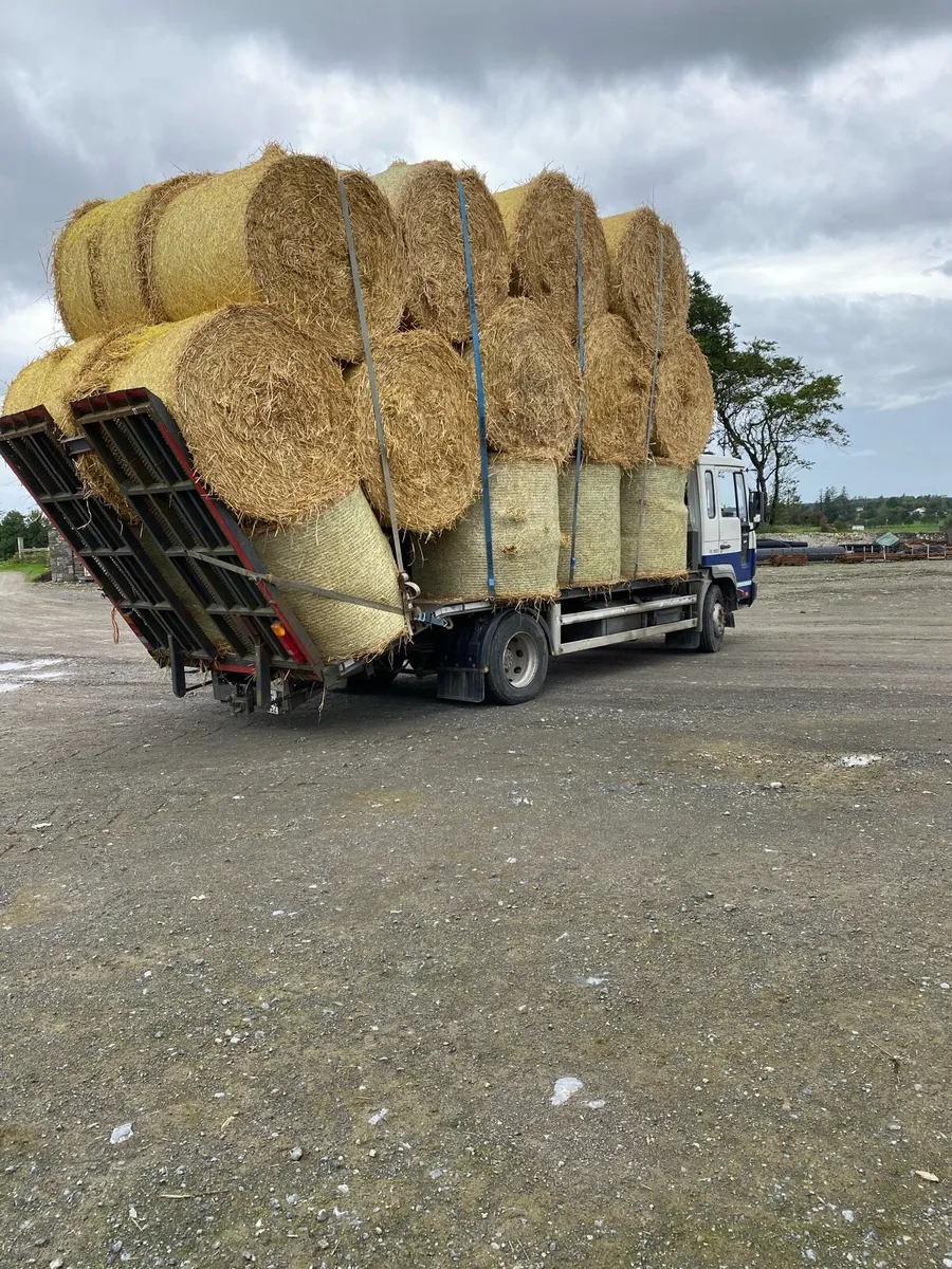 Barley straw delivered - Image 2