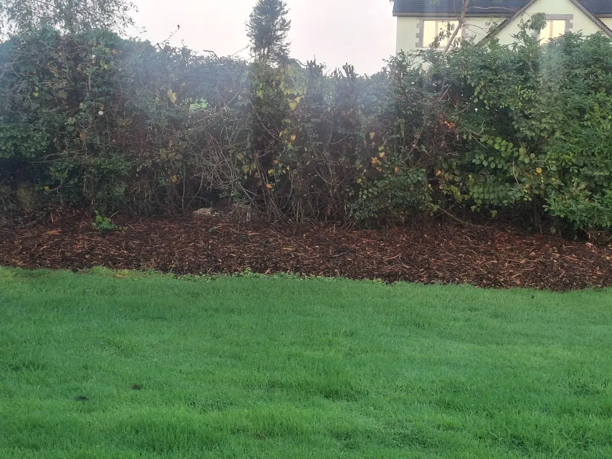 woodchip mulch for sale - Image 4