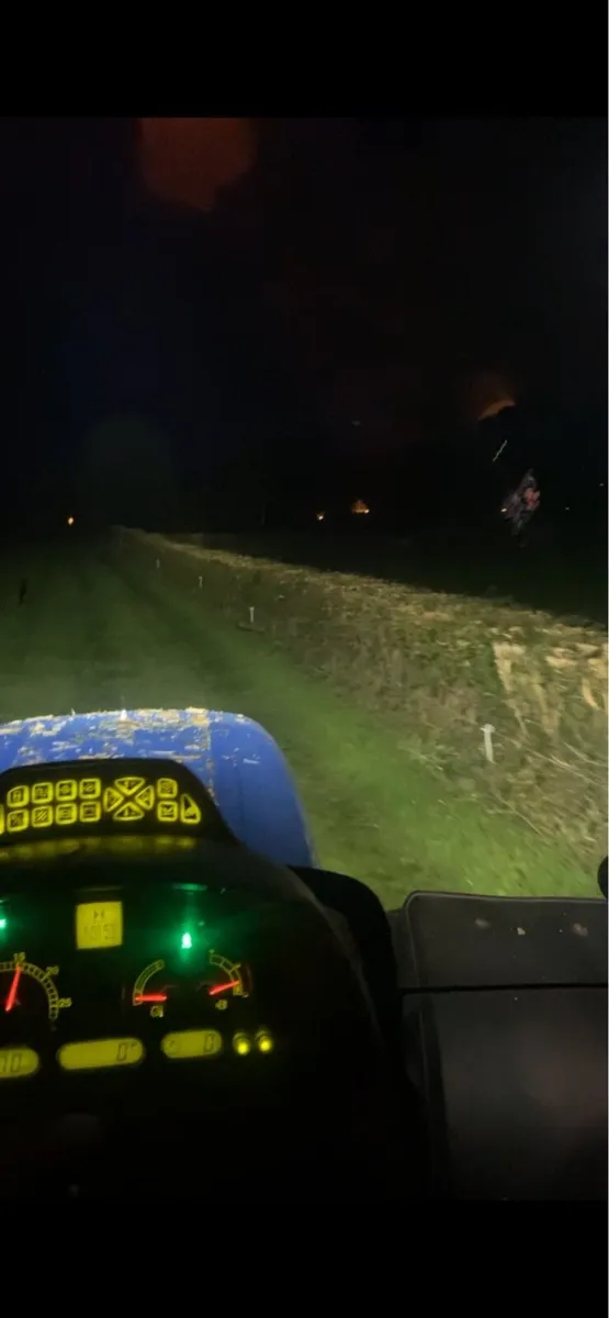 Hedgecutting - Image 4