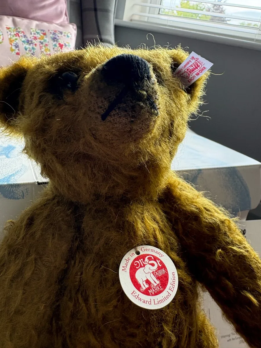 Collectable Teddy - Image 3