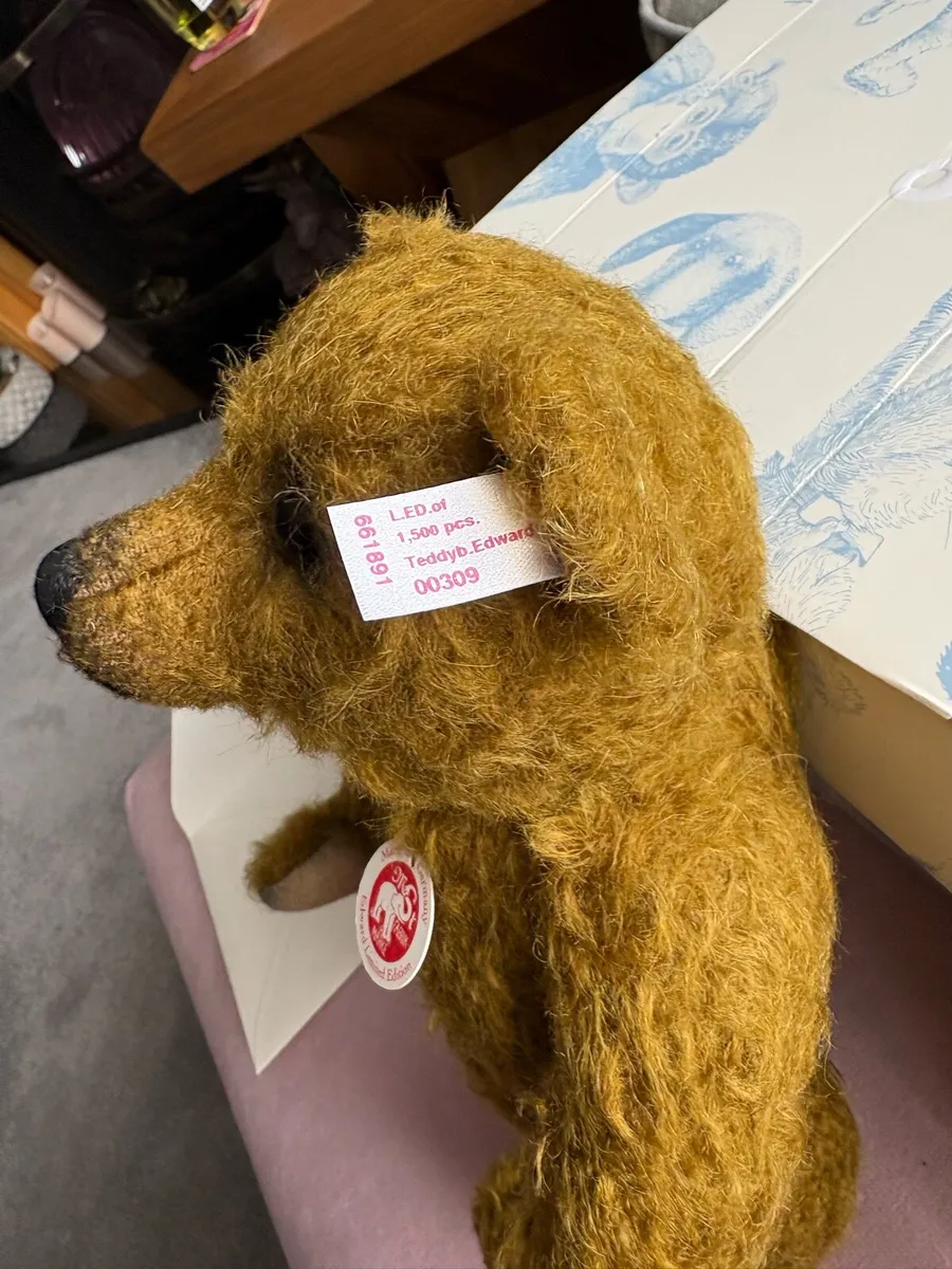 Collectable Teddy - Image 4