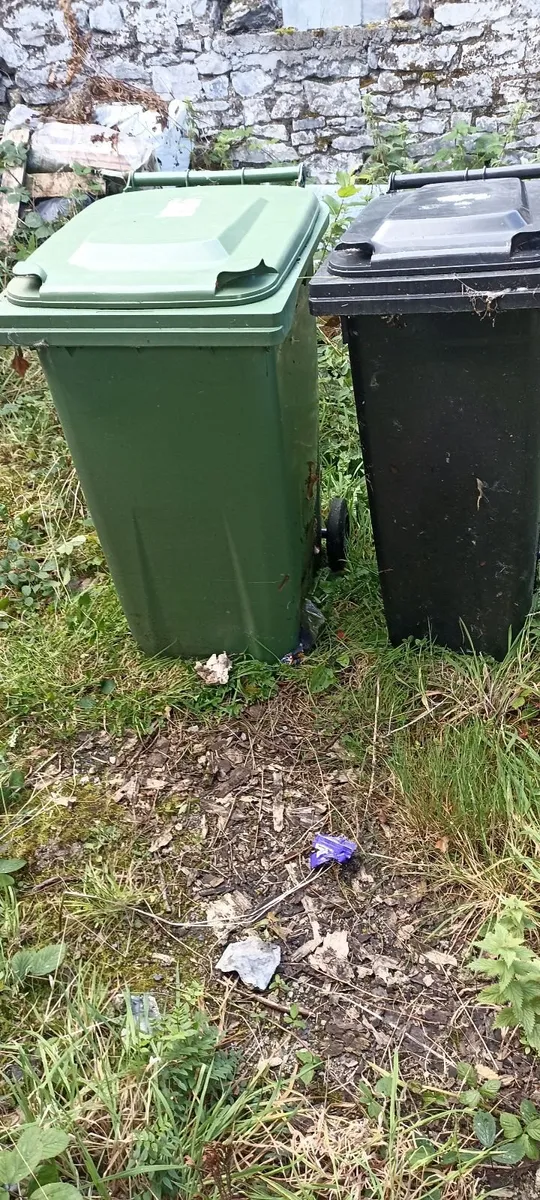 Wheelie Bins (3) - Image 2