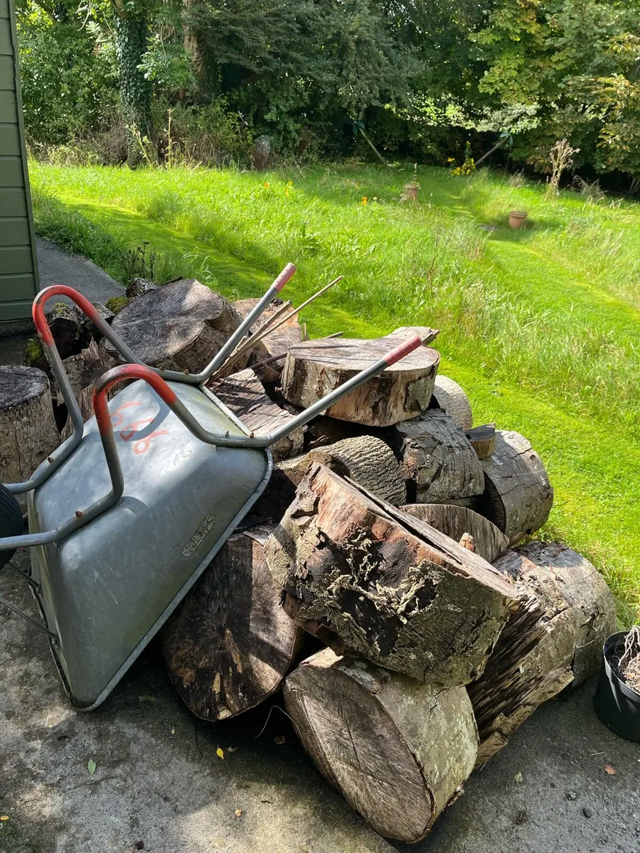 Firewood - Image 3