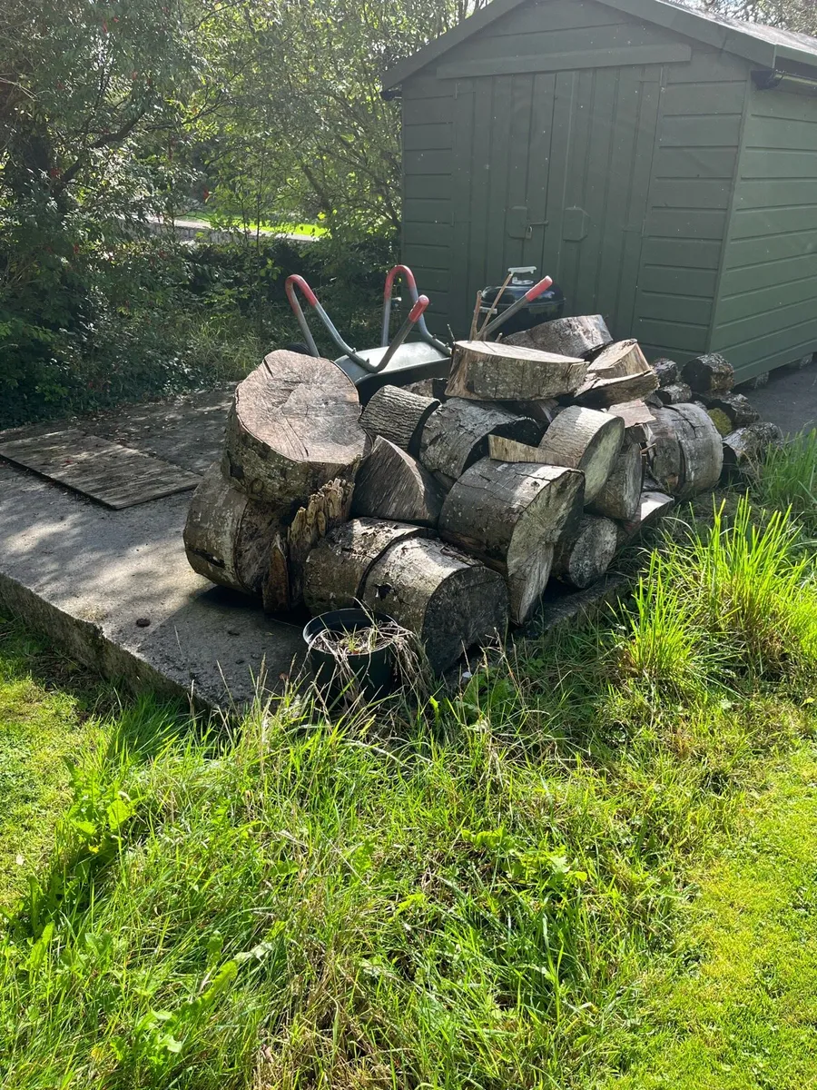 Firewood - Image 1