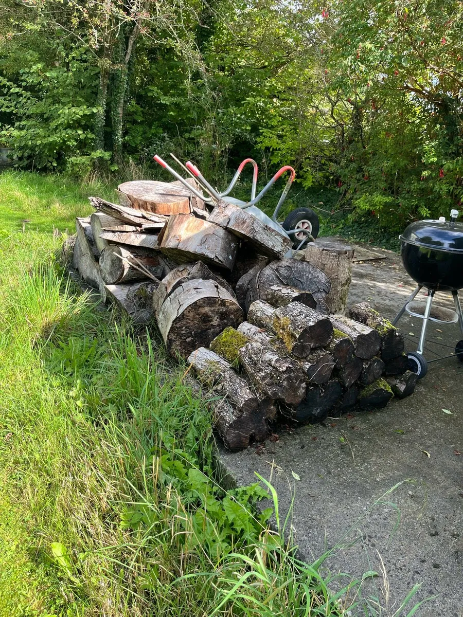 Firewood - Image 2