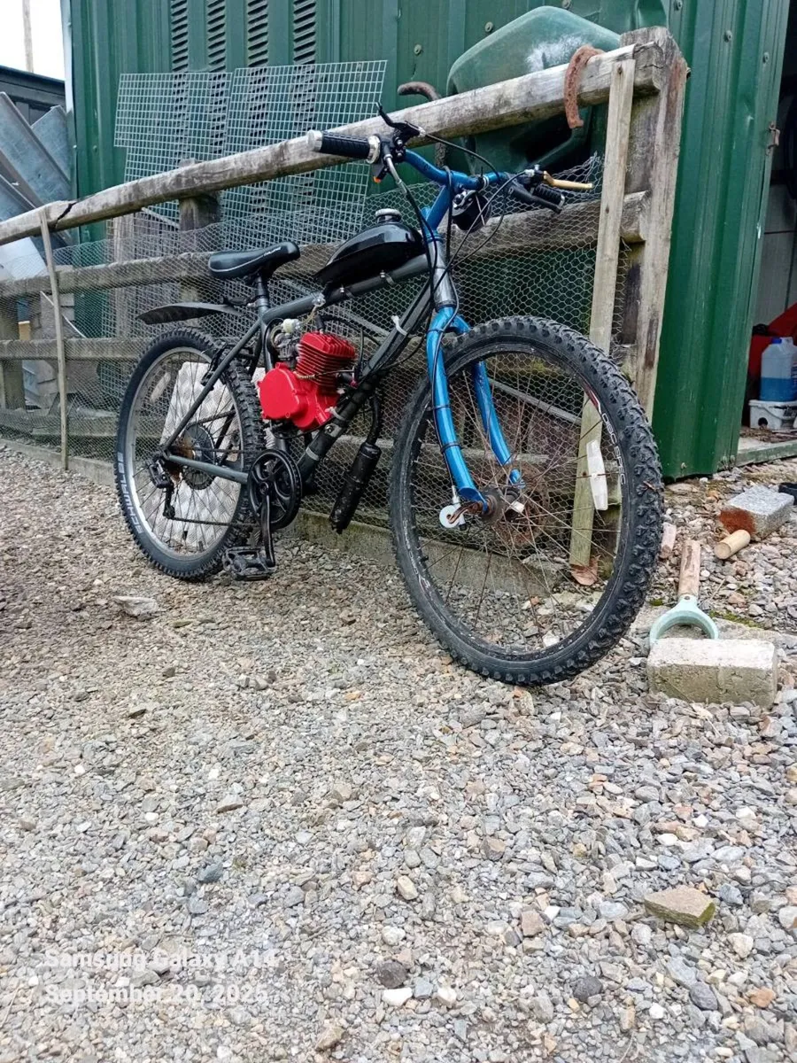 50cc engine bike - Image 2