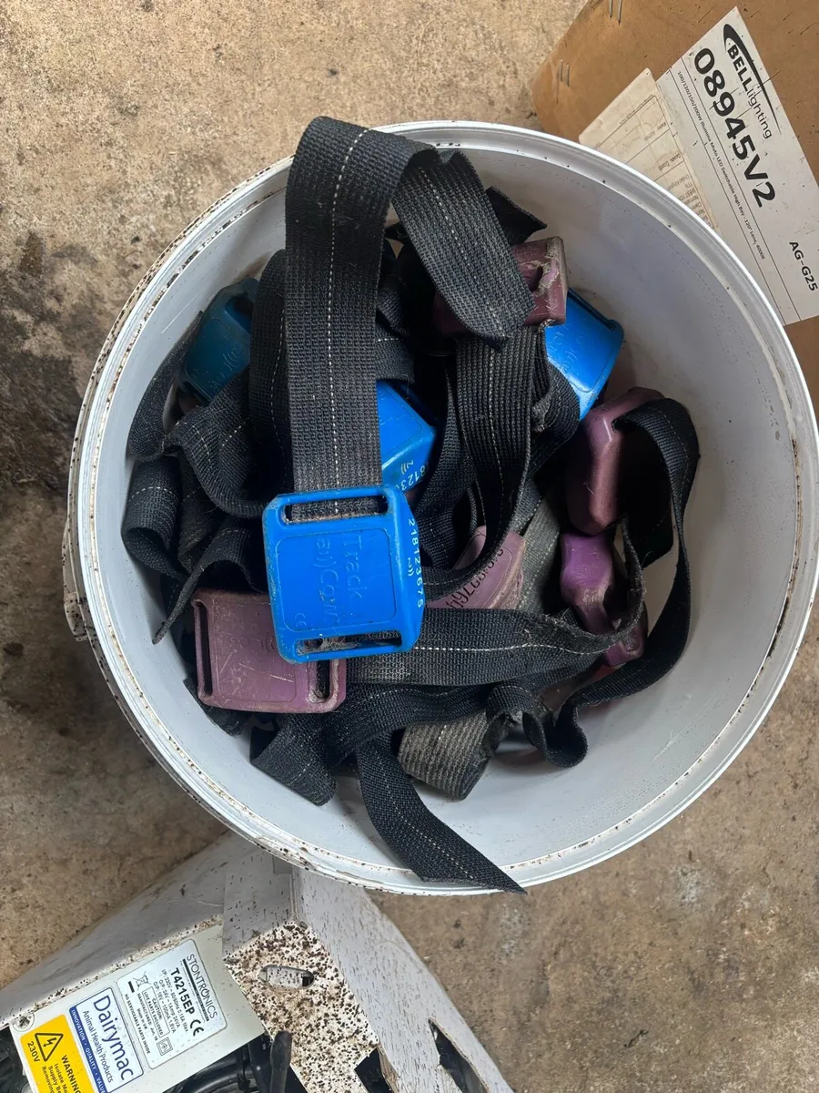 Track a Cow Heat detection system - Image 4