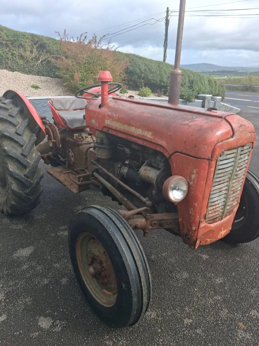Massey ferguson 35x - Image 2