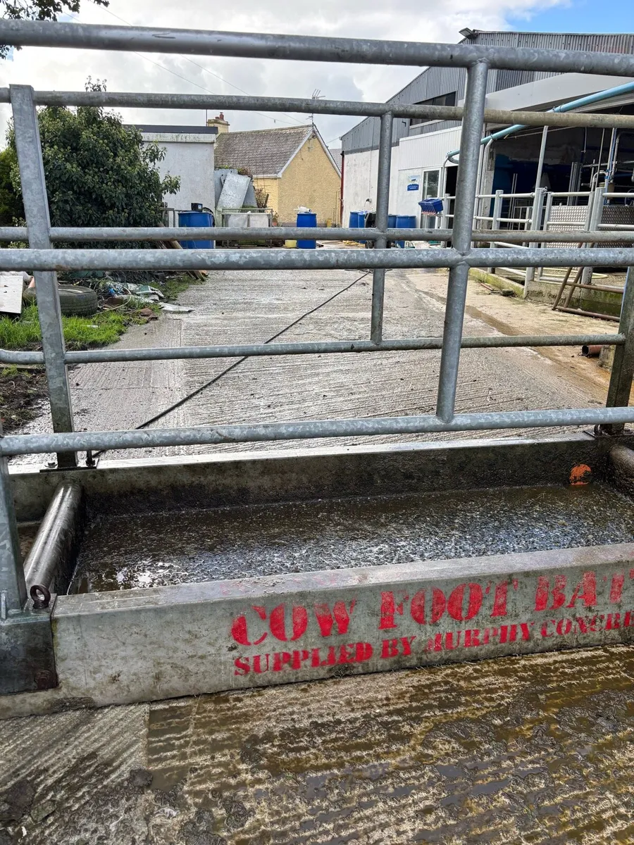 Cow footbath - Image 4