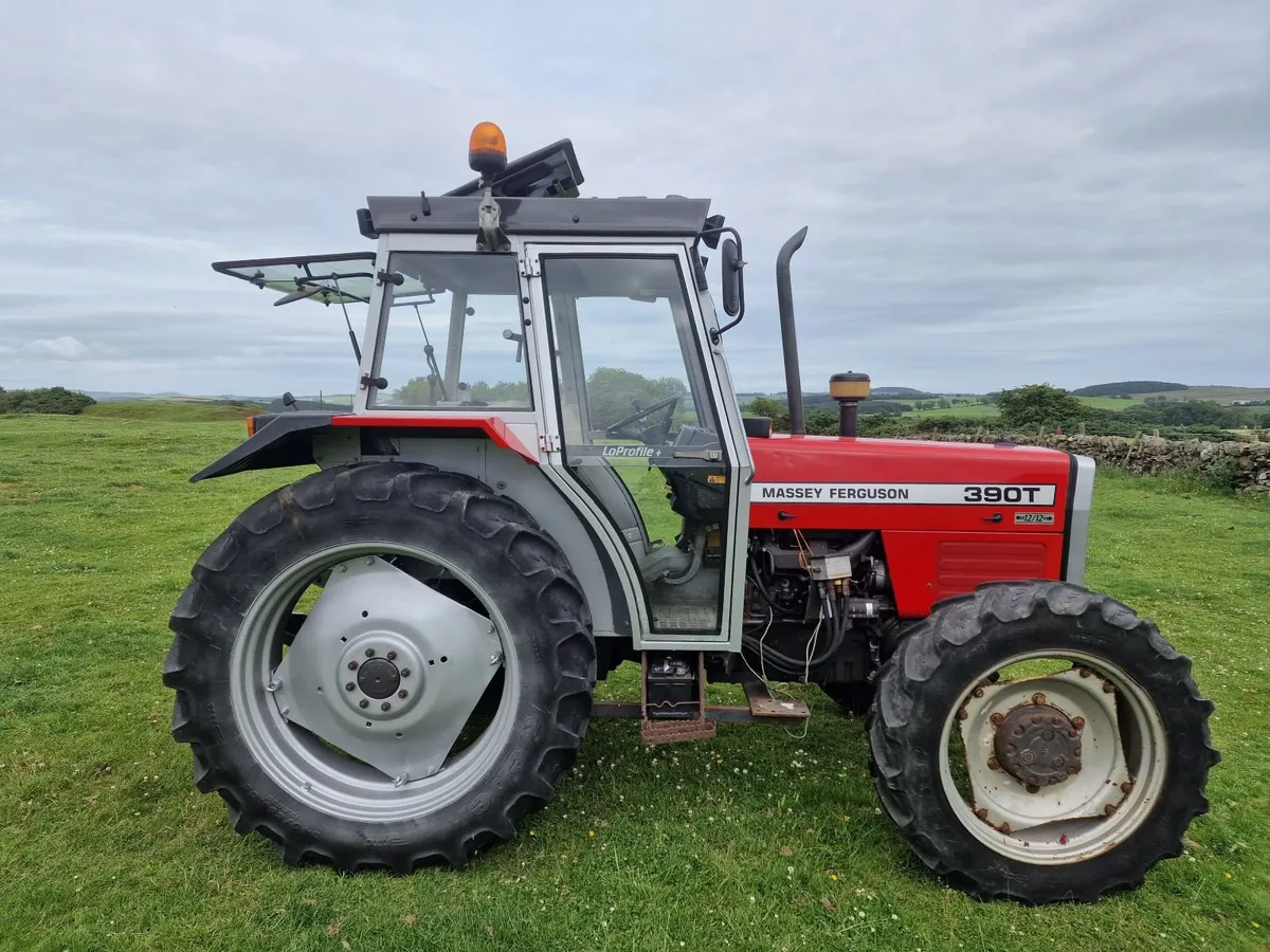 Massey Ferguson Other 1993 - Image 2
