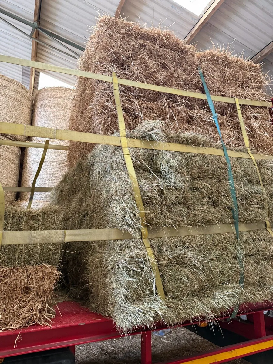 Wheaten Straw. - Image 1