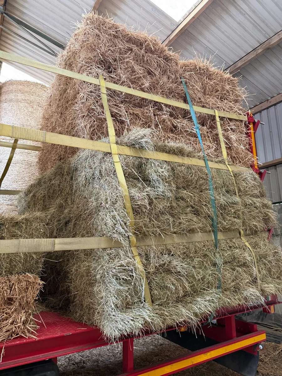 Wheaten Straw. - Image 2