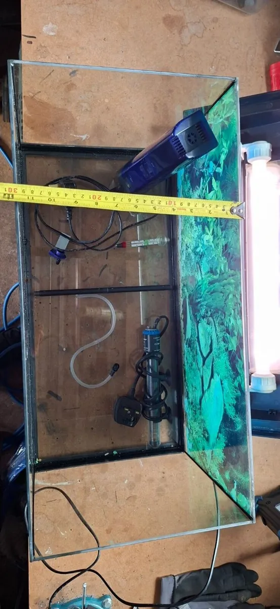 fish tank - Image 1