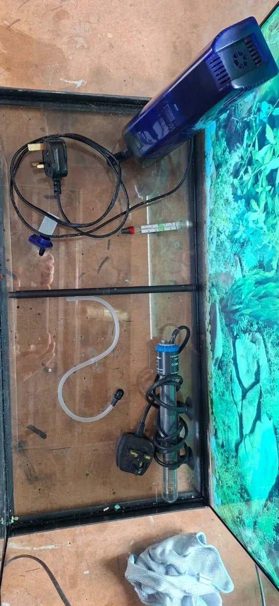 fish tank - Image 4