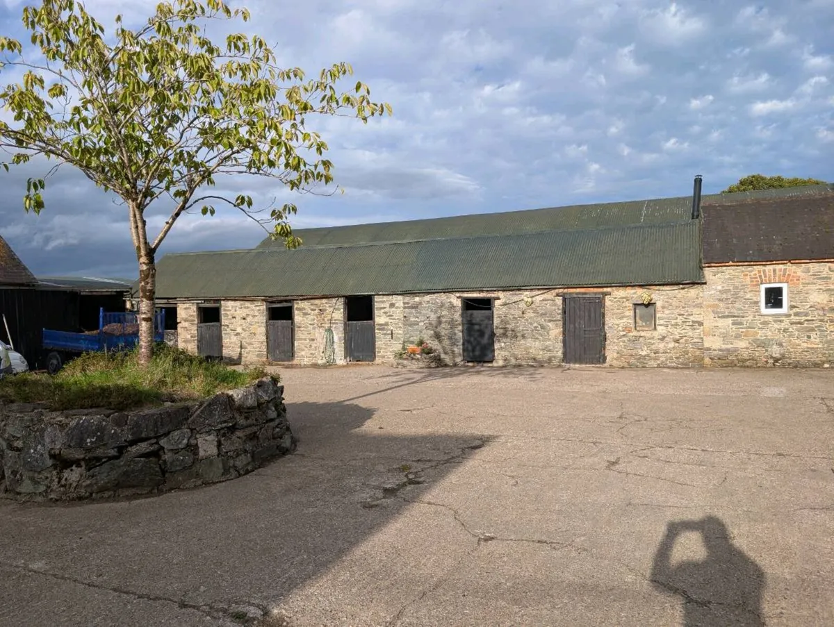 6 stables for rent - Image 4