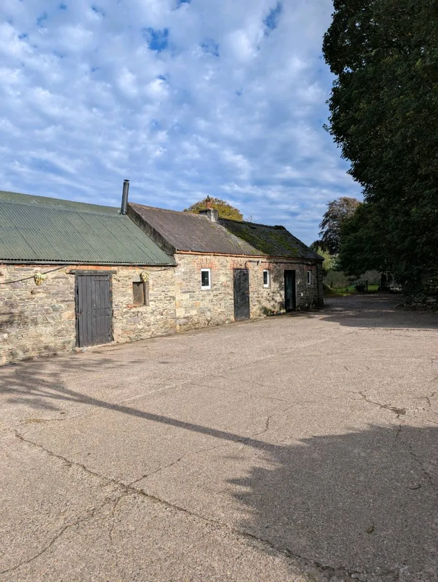 6 stables for rent - Image 2