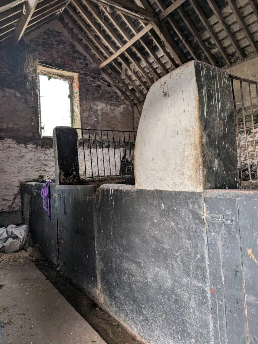 6 stables for rent - Image 3