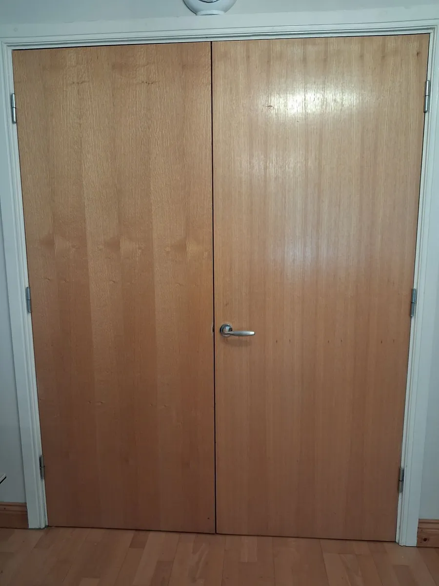 Doors - Image 1