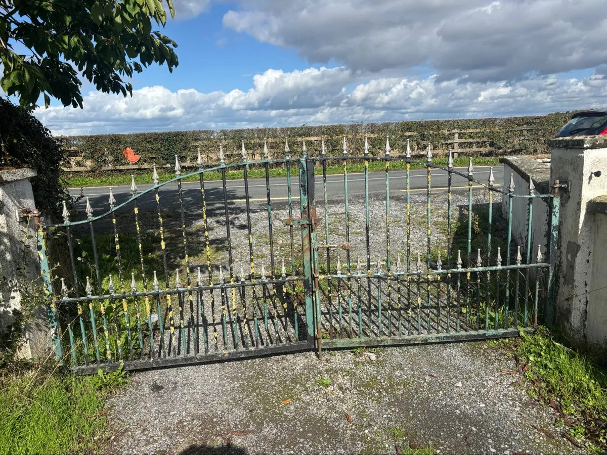 Wrought iron double gates - Image 1