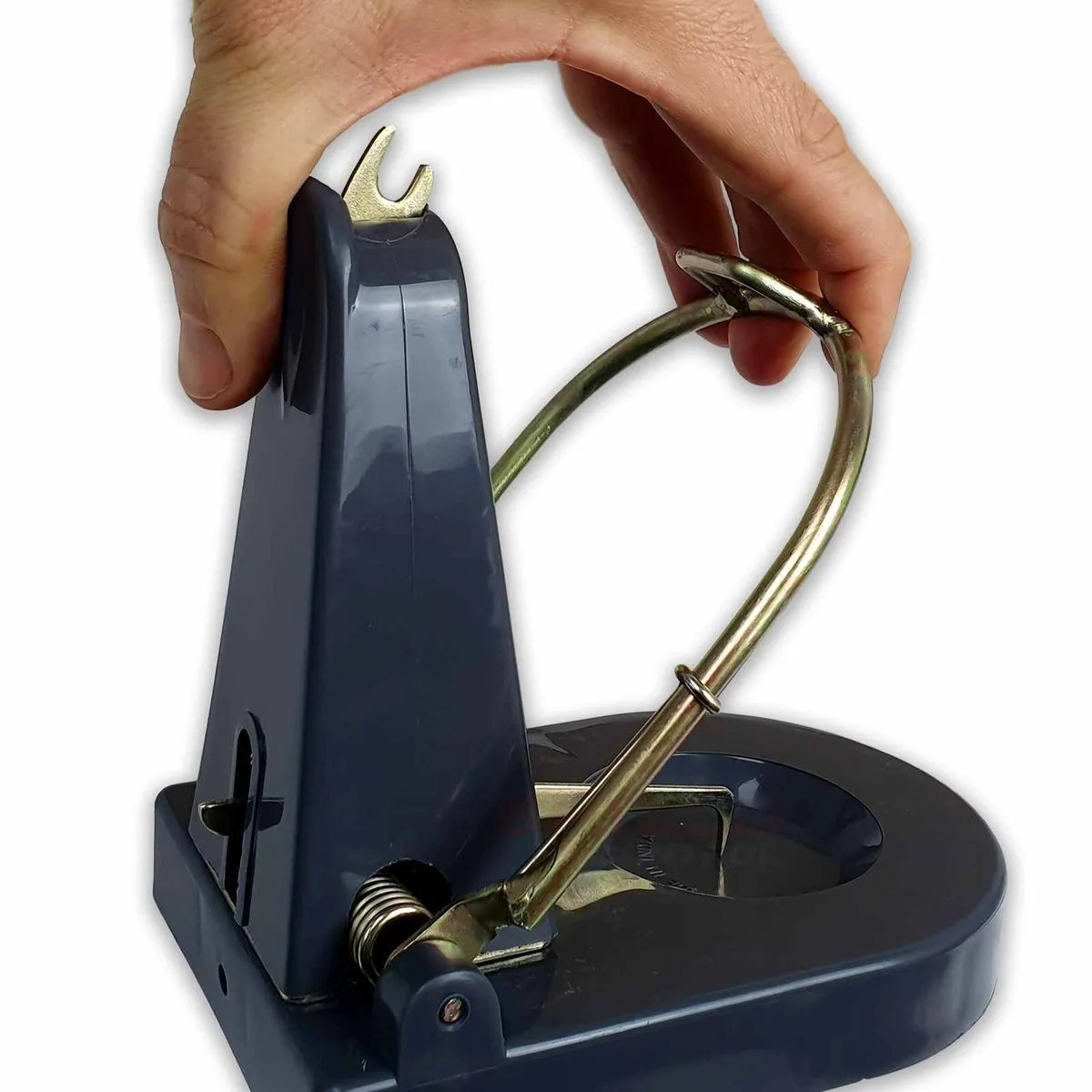 Black Cat Rat Traps Back in Stock - Image 2
