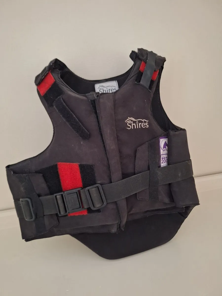 Back protector - Image 1